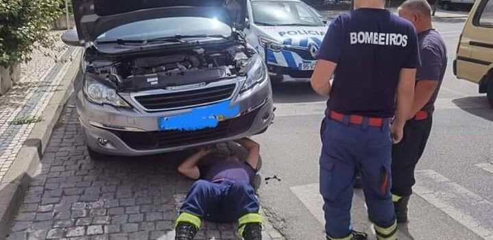 Bombeiros e PSP de Castelo Branco salvam gatinho em motor de automóvel