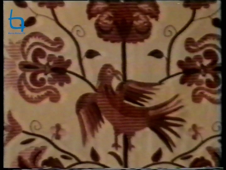 Castelo Branco 1990