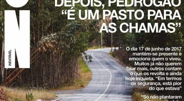 Cinco anos depois dos fogos de 17 de Junho de 2017, Pedrógão "está melhor", mas