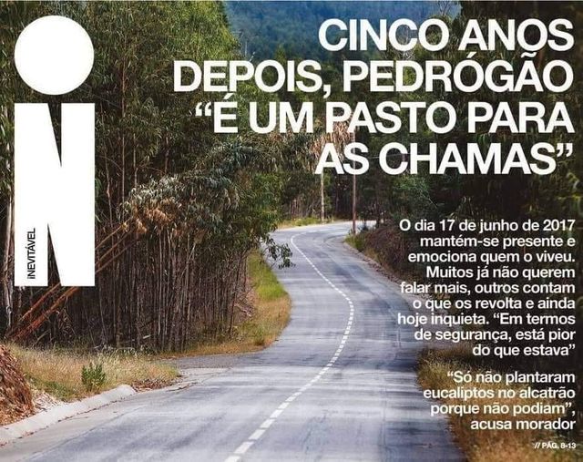 Cinco anos depois dos fogos de 17 de Junho de 2017, Pedrógão "está melhor"