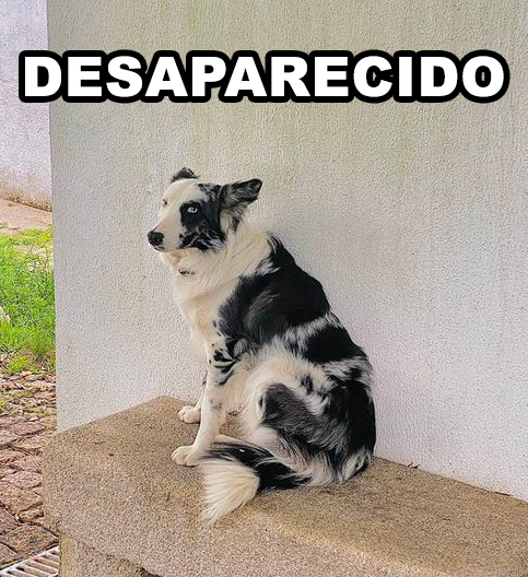 Desaparecido