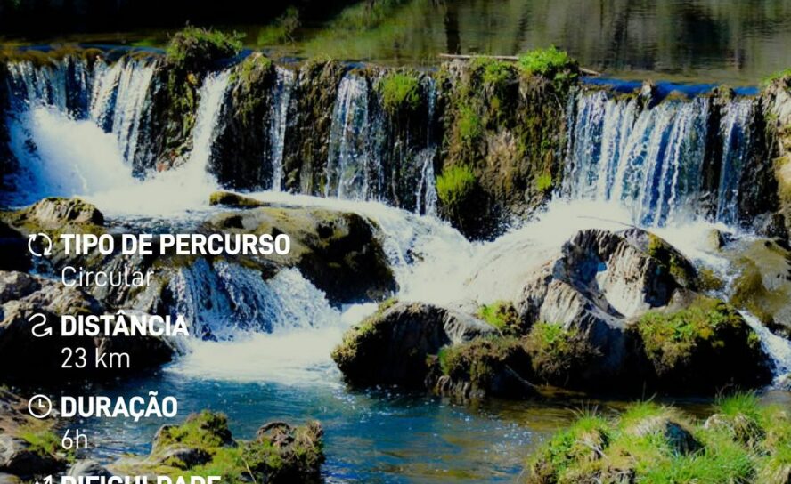 Desconfinamento na Beira Baixa