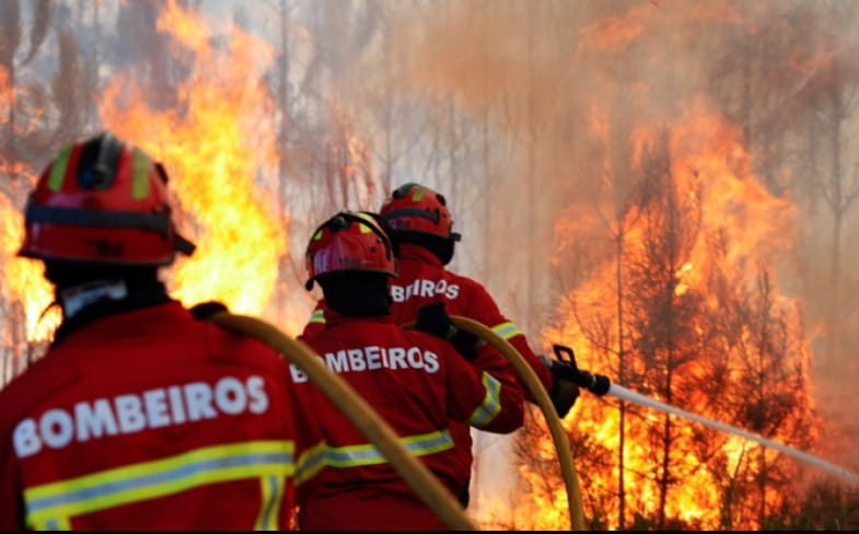 Dois mil fogos rurais sem causa apurada