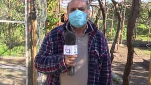 EM DIRETO: Beira Baixa TV em Castelo Branco , com Manuel Barbosa na sua Horta .