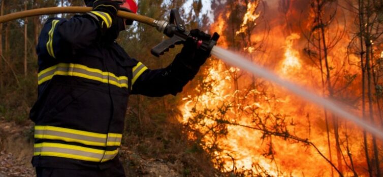 Figueiró dos Vinhos: Internamento até 12 anos para autor de incêndio
