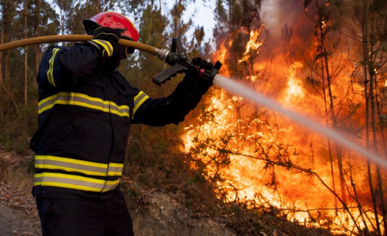 Figueiró dos Vinhos: Internamento até 12 anos para autor de incêndio