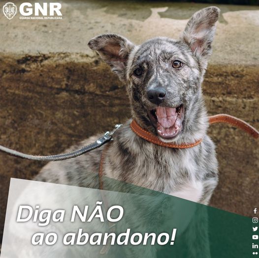 GNR/SEPNA