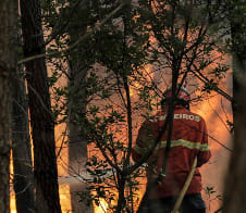 Incêndio Agrícola na Sertã já está dominado mas meios de socorro continuam na ár