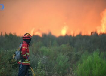 Incêndio Florestal em Seia