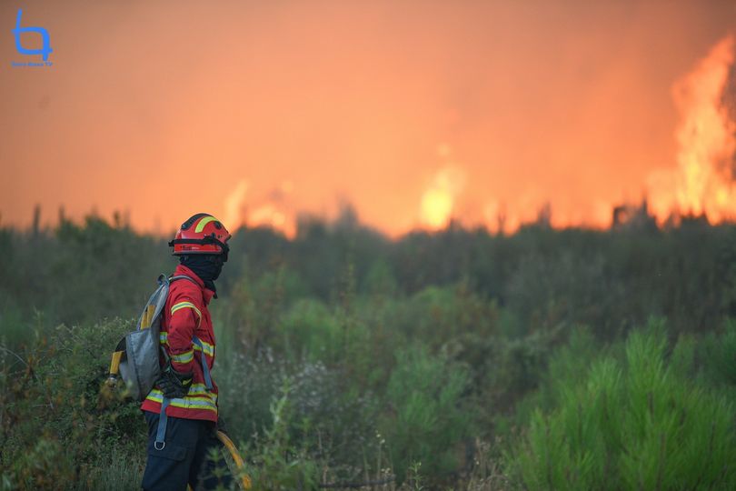 Incêndio Florestal em Seia