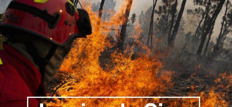 Incêndio Janeiro de Cima, Fundão