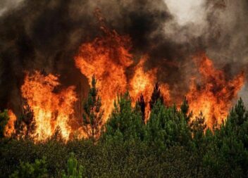 Incêndio Soalheira, Fundão