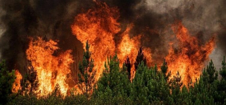 Incêndio Soalheira, Fundão