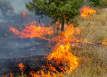 Incêndio agrícola em São Vicente da Beira