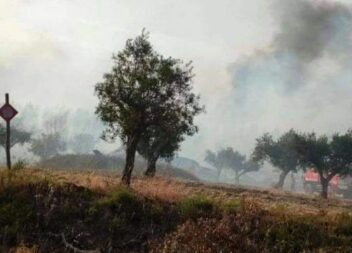Incêndio em Amieira do Tejo dominado