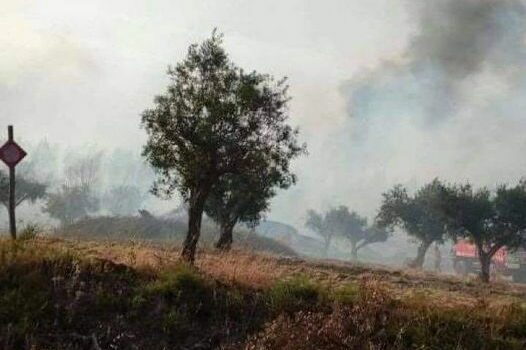 Incêndio em Amieira do Tejo dominado