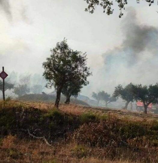 Incêndio em Amieira do Tejo dominado
