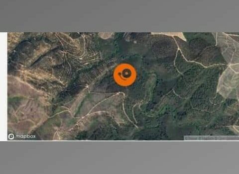 Incêndio em Oleiros está quase dominado mas ainda tem 52 bombeiros na floresta