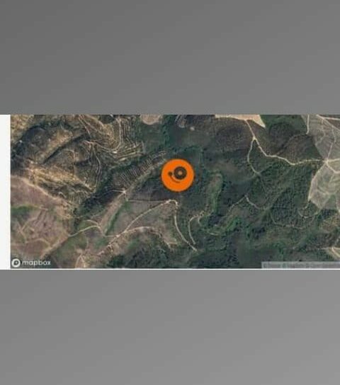 Incêndio em Oleiros está quase dominado mas ainda tem 52 bombeiros na floresta