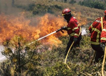 Incêndio em Vale do Urso, Proença a Nova