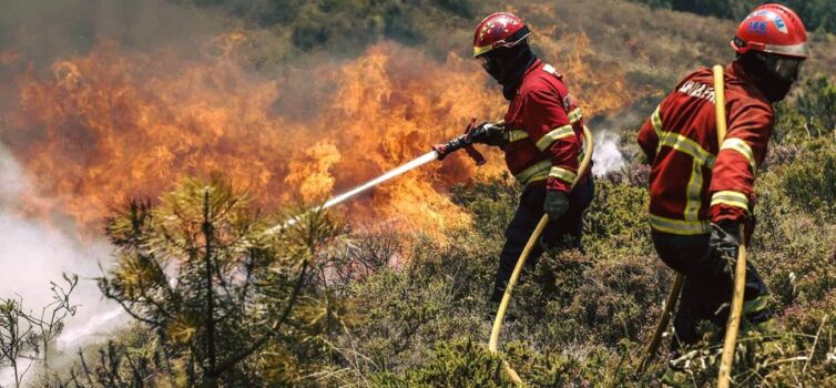 Incêndio em Vale do Urso, Proença a Nova