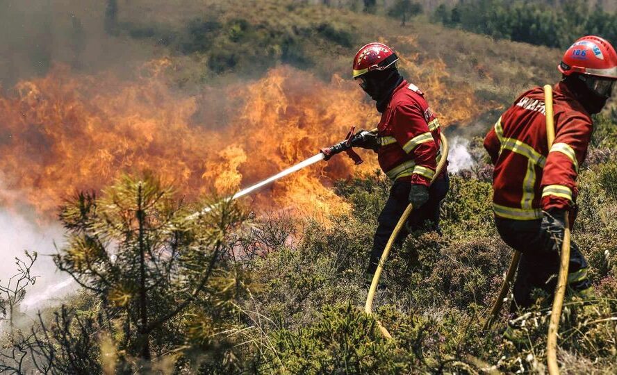 Incêndio em Vale do Urso