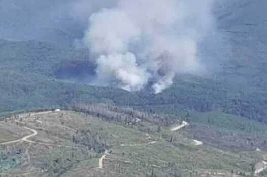 Incêndio florestal em Oleiros