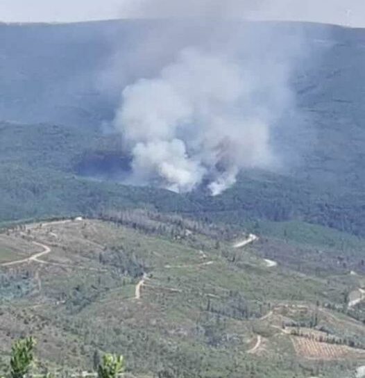 Incêndio florestal em Oleiros