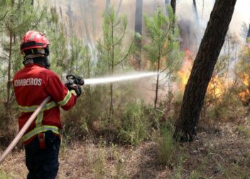 Incêndio florestal em Santo André das Tojeiras