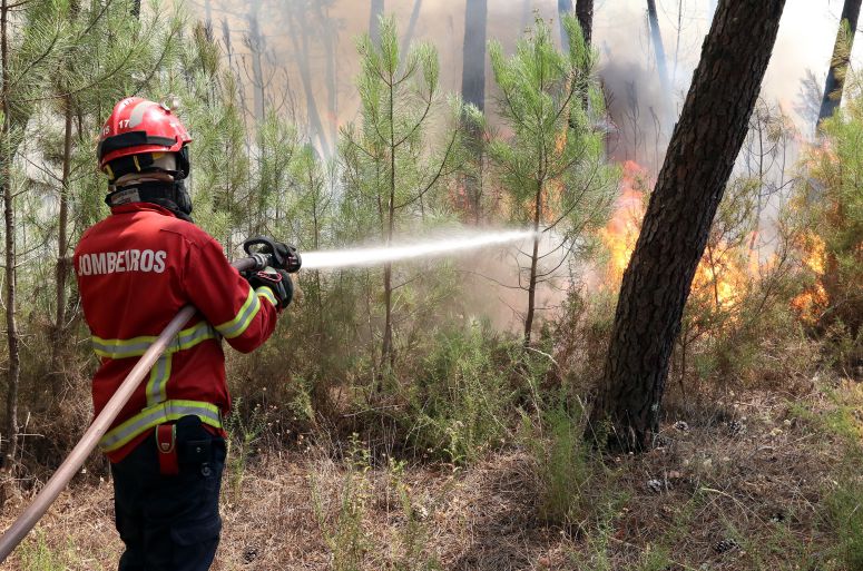 Incêndio florestal em Santo André das Tojeiras