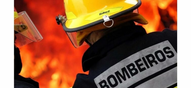 Incêndio florestal em Vila Velha de Ródão