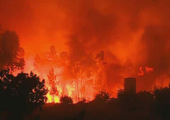 Incêndio florestal na Sertã em alerta máximo de fogo rural