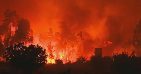 Incêndio florestal na Sertã em alerta máximo de fogo rural