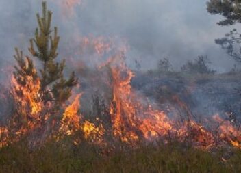 Incêndio na Covilhã