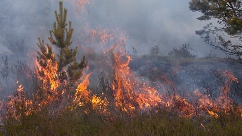 Incêndio na Covilhã