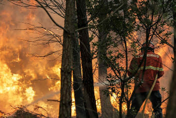 Incêndio na floresta do Fundão com dois meios aéreos
