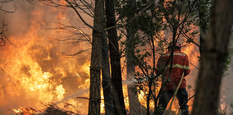 Incêndio na floresta do Fundão com dois meios aéreos