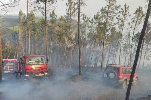 Incêndio não dá tréguas em São Vicente da Beira