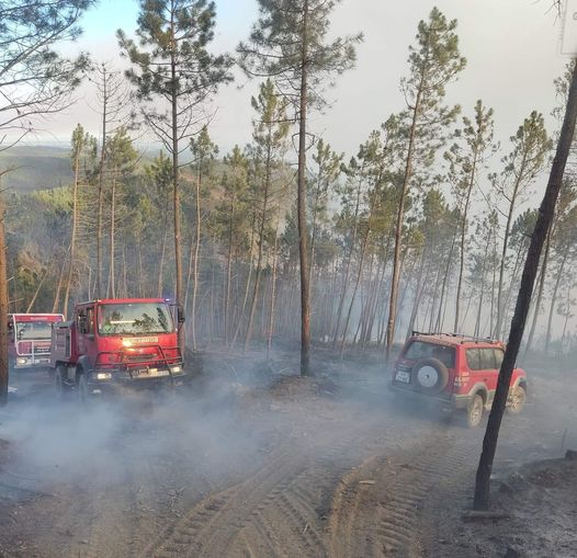 Incêndio não dá tréguas em São Vicente da Beira
