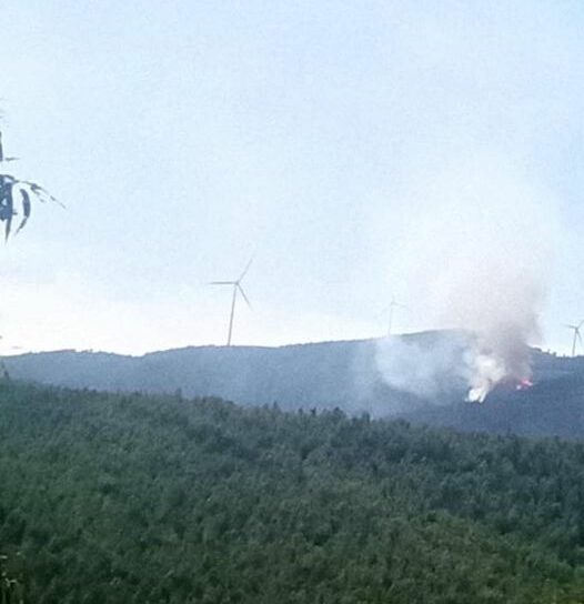 Incêndio florestal em São Vicente da Beira