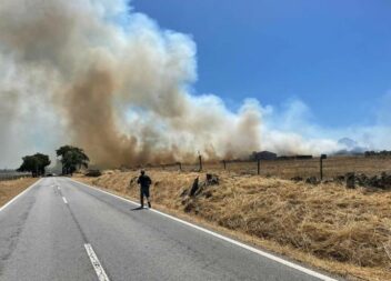 Incêndio no concelho de Nisa cortou trânsito