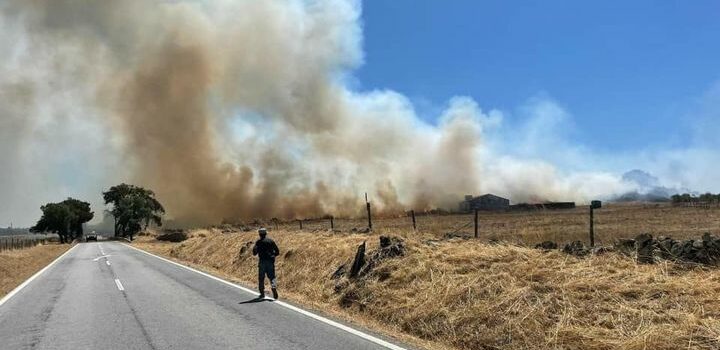 Incêndio no concelho de Nisa cortou trânsito