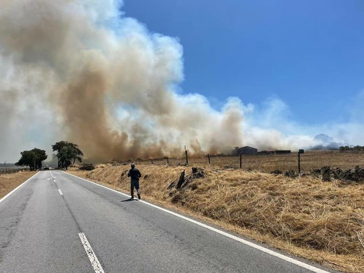 Incêndio no concelho de Nisa cortou trânsito