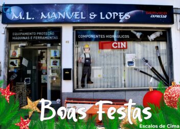 M. L. Manuel & Lopes