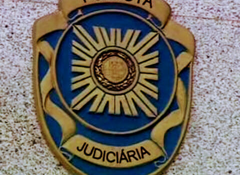 Neto de 31 anos suspeito de ter assassinado a avó : acidente foi afinal um crime
