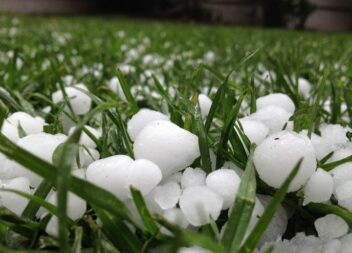 Queda de granizo causa prejuízo em plantações