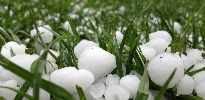 Queda de granizo causa prejuízo em plantações