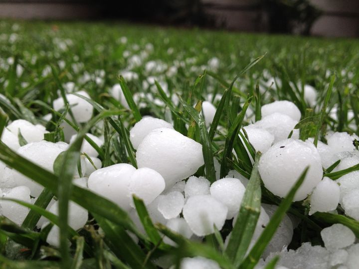 Queda de granizo causa prejuízo em plantações