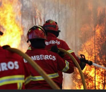 Reacendimento de incêndio florestal em São Vicente da Beira