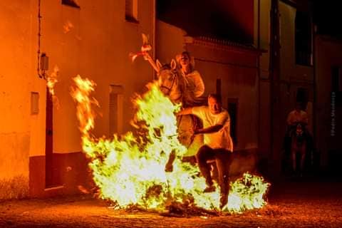 São João Baptista em Monforte da Beira - Álbum de Fotos